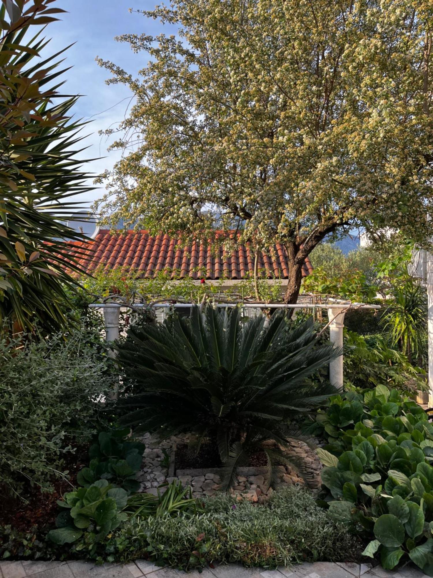 דירות קורצולה Tianri מראה חיצוני תמונה