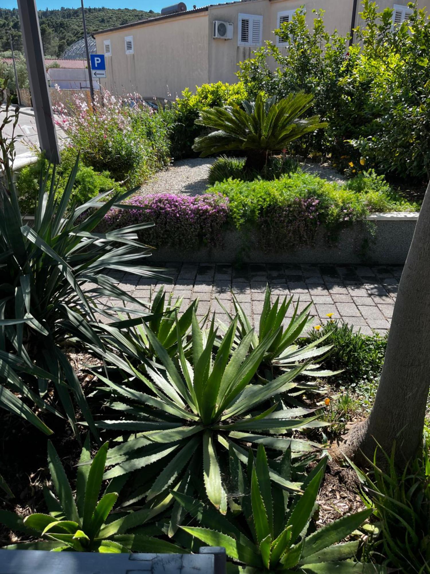 דירות קורצולה Tianri מראה חיצוני תמונה